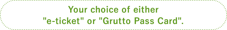 Your choice of either “e-ticket” or “Grutto Pass Card.”