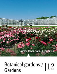 Botanical gardens / Gardens 12
