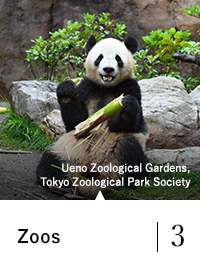 Zoos 3