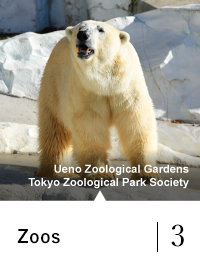 Zoos 3