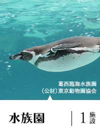 水族園 1施設