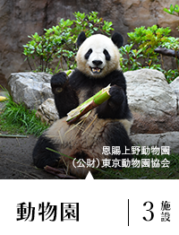 動物園 3施設