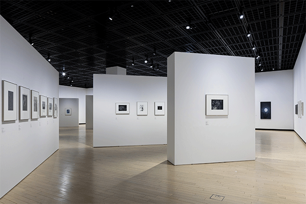 「TOPコレクション 光のメディア」展 展示風景